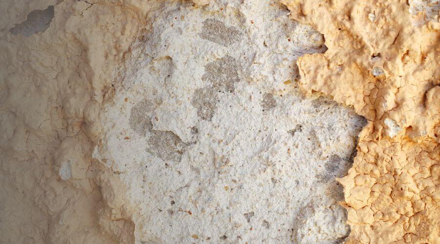 Why choose EnviroNova for water damage restoration in Pembroke Pines